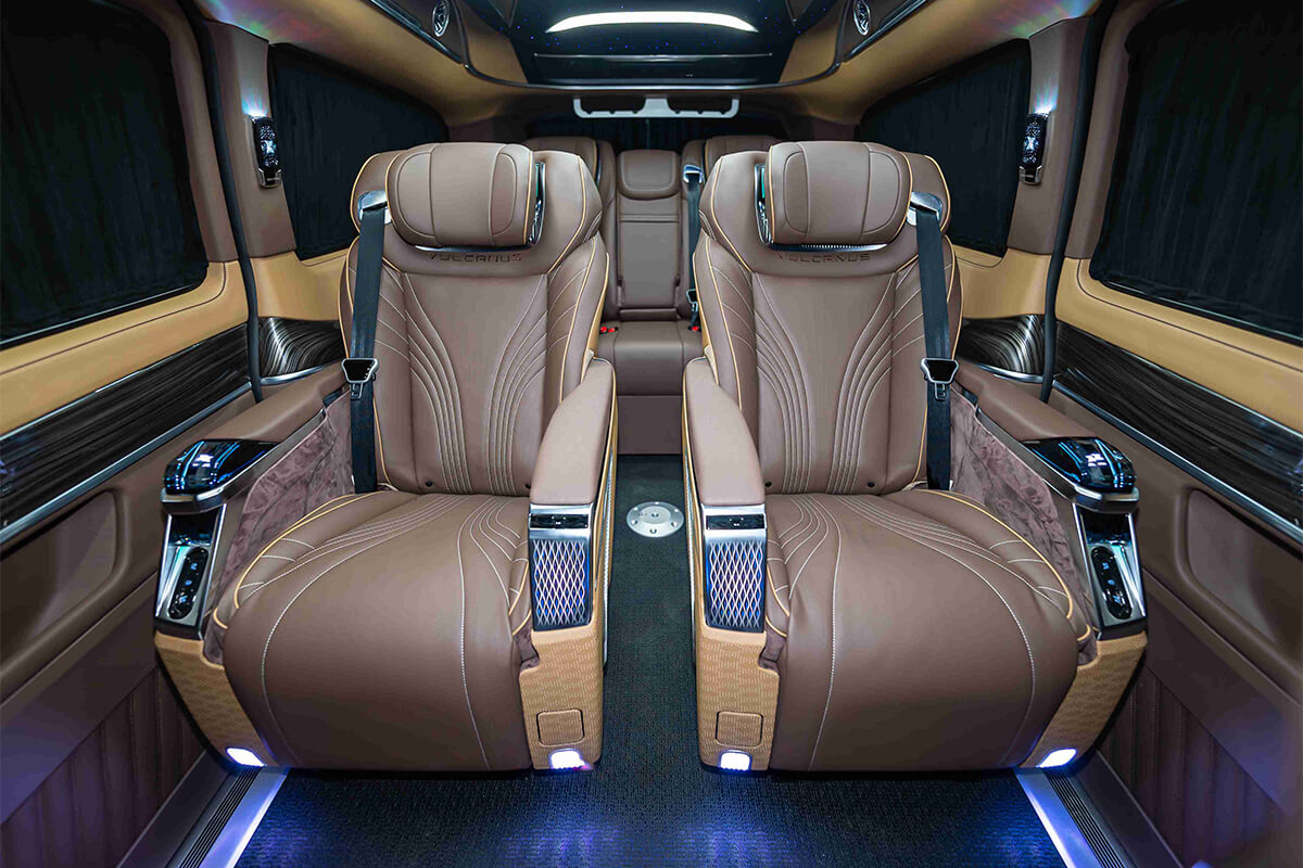 维努斯V300L威赫（凡戴克棕+琥珀金）
